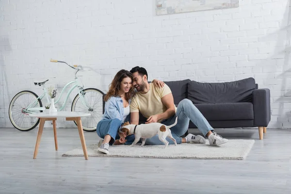 Cheerful Interracial Couple Hugging Jack Russell Terrier Modern Living Room — Stock Photo, Image