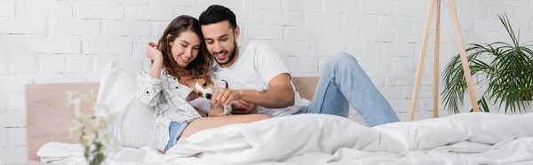 Happy Interracial Couple Cuddling Jack Russell Terrier Bed Banner — Stock Photo, Image