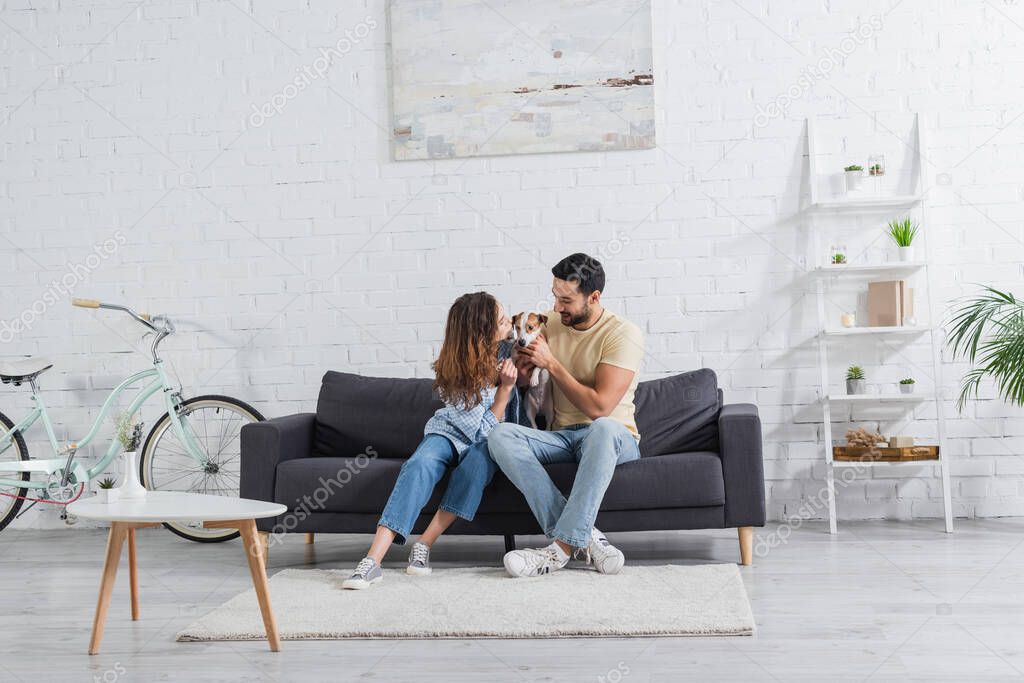 happy interracial couple petting jack russell terrier in modern living room 