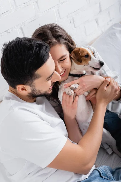 Pleased Interracial Couple Cuddling Jack Russell Terrier Bedroom — Stock Photo, Image