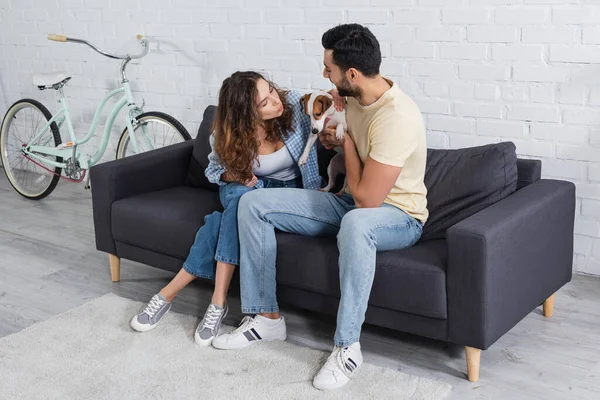 Young Woman Cuddling Jack Russell Terrier Happy Muslim Boyfriend — Stock Photo, Image