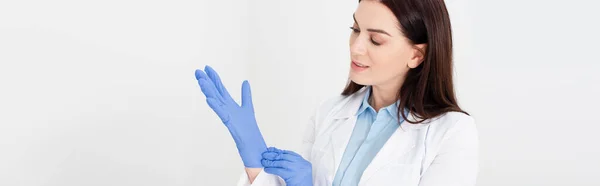 Attractive Dentist White Coat Adjusting Latex Gloves Isolated Grey Banner — Stock Photo, Image