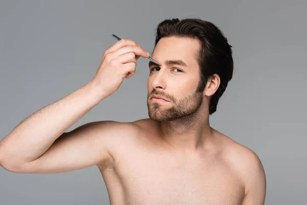 shirtless man tweezing eyebrow isolated on grey