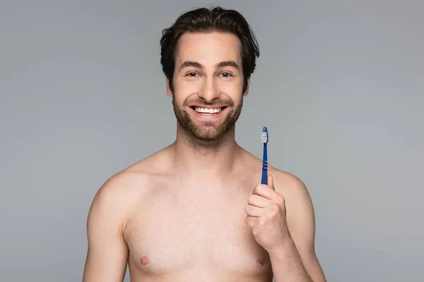 Hombre Alegre Sin Camisa Sosteniendo Cepillo Dientes Aislado Gris —  Fotos de Stock