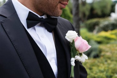 Cropped view of groom with roses in boutonniere on jacket standing in park  clipart