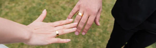 Cropped View Rings Fingers Newlyweds Outdoors Banner — Stock Photo, Image