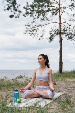 Spor kıyafetli genç bir kadın lotus poz verip yoga minderinde meditasyon yapıyor. 