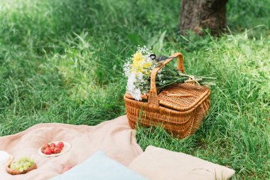 Tit bird on basket with flowers near fruits on blanket in park 