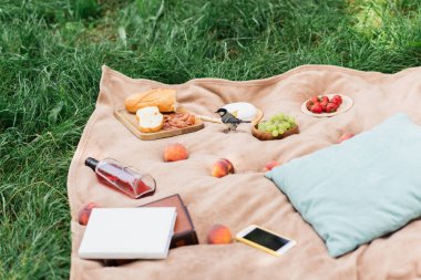 Tit bird near tasty food and bottle of wine on picnic blanket 