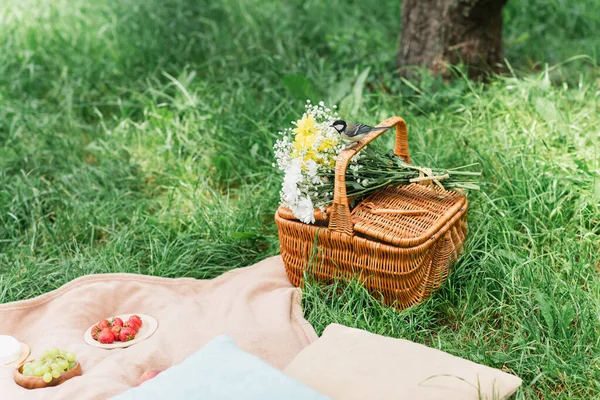 Tit Bird Basket Flowers Fruits Blanket Park — Stockfoto
