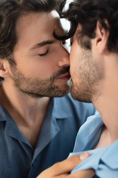 Close Barbudo Gay Casal Beijos Casa — Fotografia de Stock