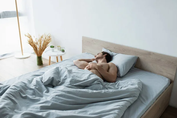 Young Man Sleeping Blue Blanket Morning — Stock Photo, Image