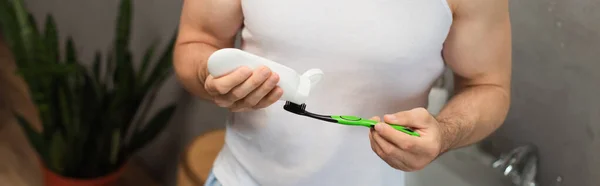 Partial View Man Applying Toothpaste Toothbrush Banner — Stock Photo, Image
