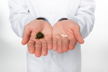 Doktorun elinde haplar ve beyaz üzerinde izole edilmiş tıbbi esrarın kısmi görüntüsü