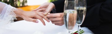 Bulanık şampanya ve pankartın yakınındaki sevgilisinin parmağına yüzük takan lezbiyen kadın manzarası. 