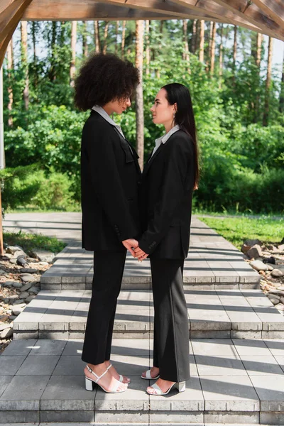 Side View Multiethnic Lesbian Couple Holding Hands Park — Stock Photo, Image
