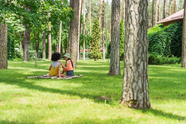 Gülümseyen kadın parkta battaniyede Afrikalı Amerikalı kız arkadaşına dokunuyor. 