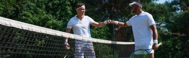Gülümseyen Afrikalı Amerikalı tenis oyuncusu sahada arkadaşıyla yumruk tokuşturuyor. 