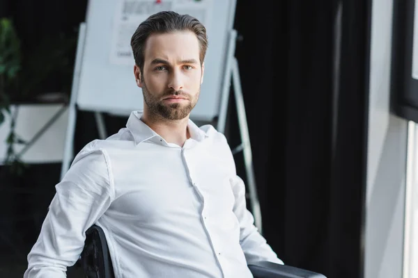 Young Businessman White Shirt Looking Camera Office — Stock Photo, Image