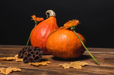 Gerbera çiçekleri, portakal kabakları, yapraklar ve kurumuş nilüfer tohumları... 