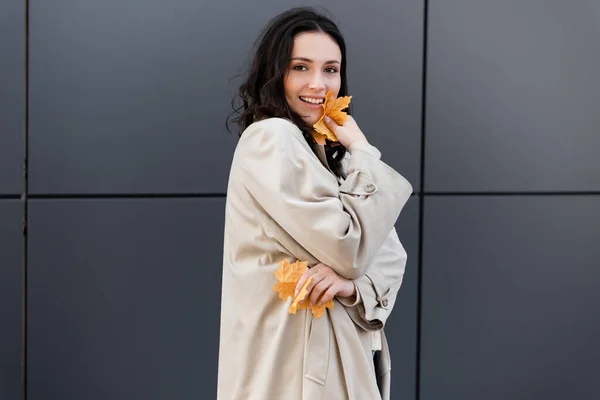 Happy Brunette Woman Beige Coat Holding Yellow Leaves Grey Wall — Stock Photo, Image