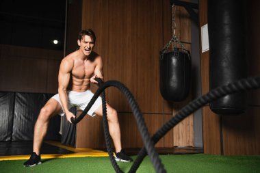 Spor salonunda halatlarla antrenman yaparken atletik bir adam bağırıyor.
