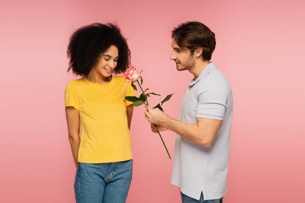young man presenting rose to shy and happy latin woman isolated on pink