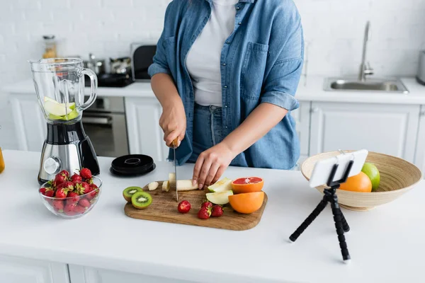 Vue Recadrée Femme Avec Des Fruits Coupe Surpoids Près Mélangeur — Photo