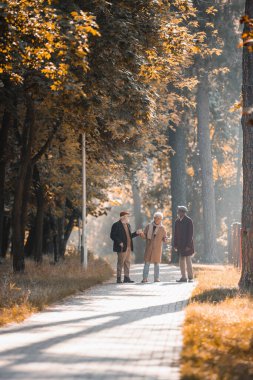 Gülümseyen Asyalı adam sonbahar parkında ırklar arası arkadaşlarla konuşuyor. 