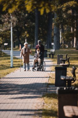 Sonbahar parkında yürüyen bastonlu ve tekerlekli sandalyeli çok ırklı arkadaşlar 