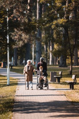Tekerlekli sandalyesi ve bastonu olan çok ırklı yaşlı adamlar sonbahar parkında konuşuyor. 