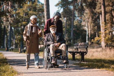 Sonbahar parkında tekerlekli sandalyeli Asyalı bir adam ırklar arası dostların yanında konuşuyor. 