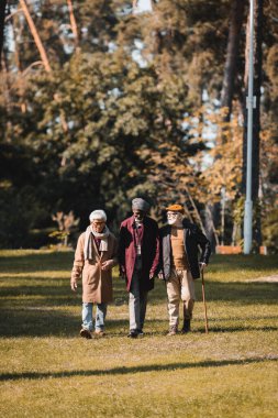 Kıdemli çok kültürlü arkadaşlar sonbaharda parkta çimlerde yürüyorlar. 