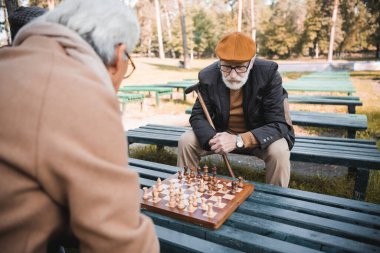 Bastonlu yaşlı adam sonbahar parkında bulanık arkadaşıyla satranç oynuyor. 