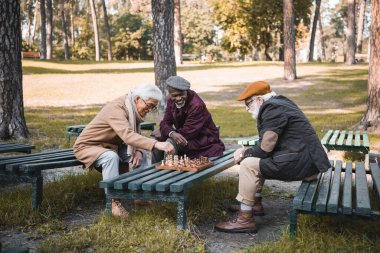 Sonbahar parkında arkadaşlarıyla satranç oynayan pozitif ırklar arası erkekler. 