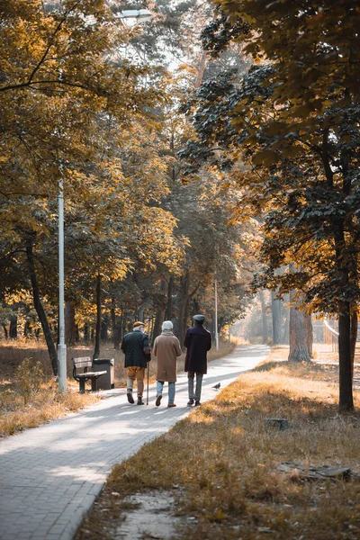 Interracial elderly men walking on path in park during autumn