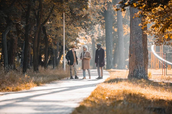 Hombres Mayores Multiétnicos Hablando Cerca Amigo Afroamericano Parque Otoño — Foto de Stock