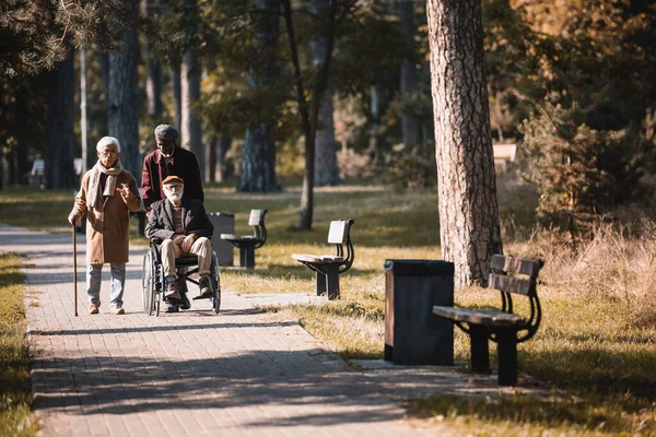 Multicultural Senior Friends Wheelchair Walking Cane Spending Time Autumn Park — Stock Photo, Image