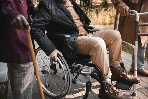 Cropped View Man Wheelchair Interracial Friends Walking Frame Cane Park — Stock Photo, Image