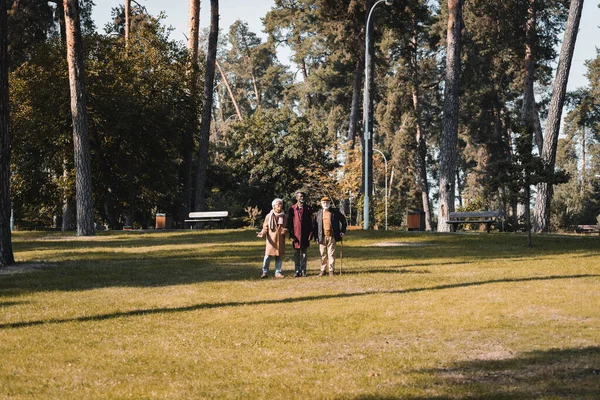 Starší Multietničtí Muži Procházející Trávníku Podzimním Parku — Stock fotografie