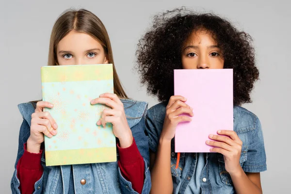 Trendige interrassische Schulmädchen blicken in die Kamera, während sie Bücher isoliert auf grau halten — Stockfoto