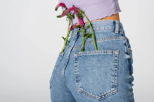 Vue partielle de la jeune femme en jeans avec des fleurs de lupin dans les poches posant isolé sur blanc — Photo de stock