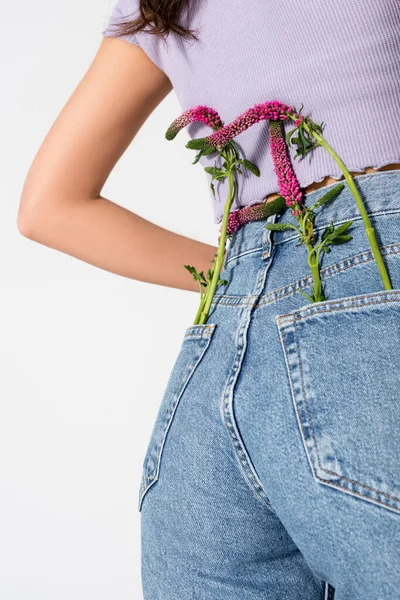 Vista ritagliata di giovane modella in jeans con fiori di lupino in tasche posa isolata su bianco — Foto stock