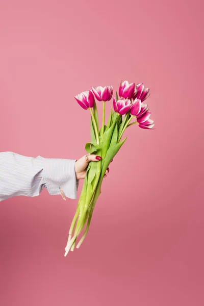 Vue recadrée de la femme tenant des tulipes isolées sur rose — Photo de stock