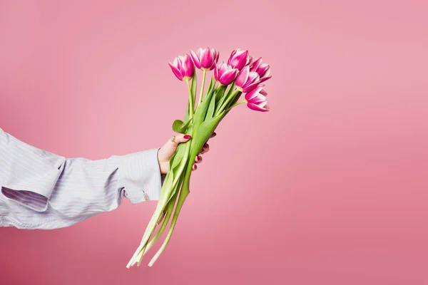 Vista recortada de ramo de tulipanes en mano de mujer aislada en rosa - foto de stock