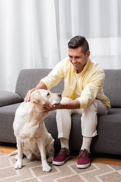 Glücklicher Mann streichelt Labrador-Hund, während er zu Hause auf Sofa sitzt — Stockfoto