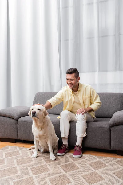 Fröhlicher Mann sitzt auf Couch und streichelt Labrador-Hund — Stockfoto