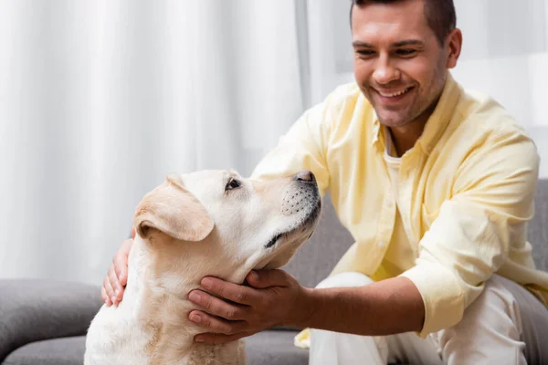 Alegre homem petting labrador cão em casa, fundo borrado — Fotografia de Stock
