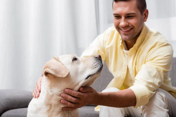 Fröhlicher Mann streichelt Labrador-Hund zu Hause, verschwommener Hintergrund — Stockfoto