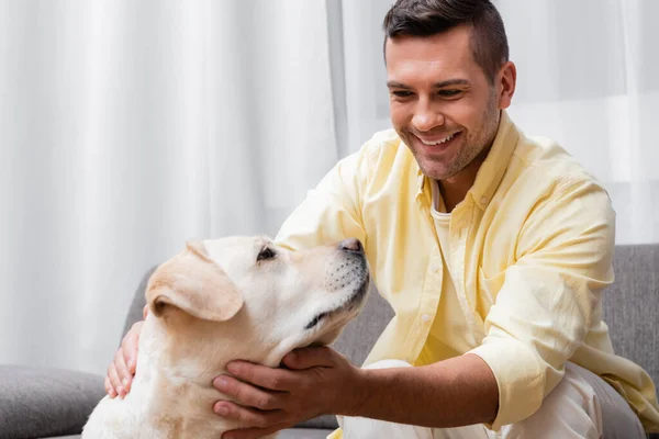 Jovem, homem sorridente acariciando cão labrador em casa — Fotografia de Stock